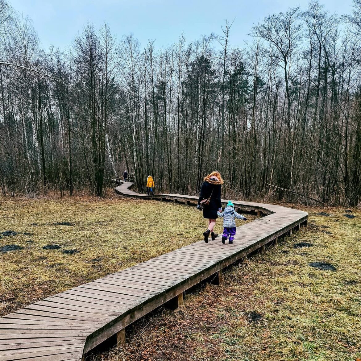 Ścieżka wokół Opalenia