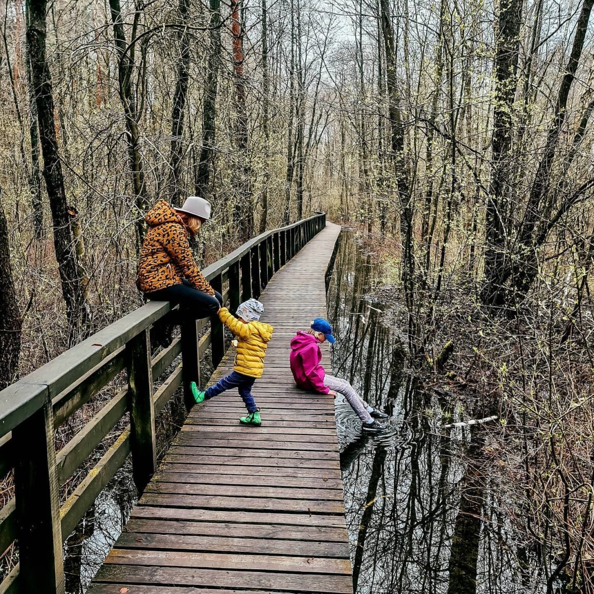 ścieżka do karczmiska