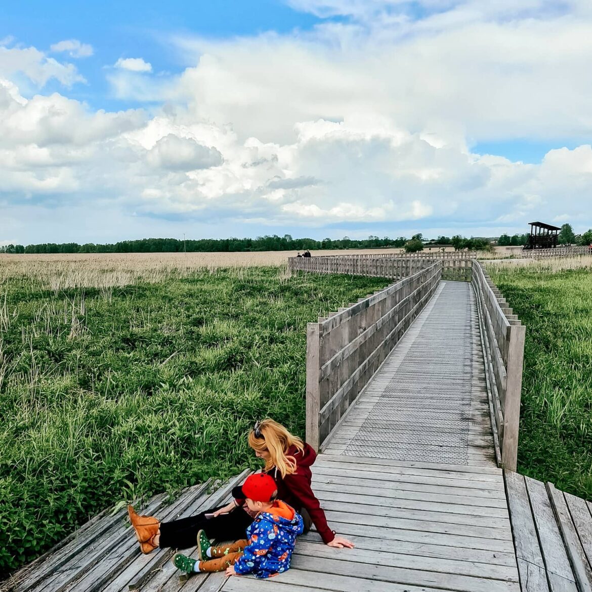 kładka waniewo-śliwno