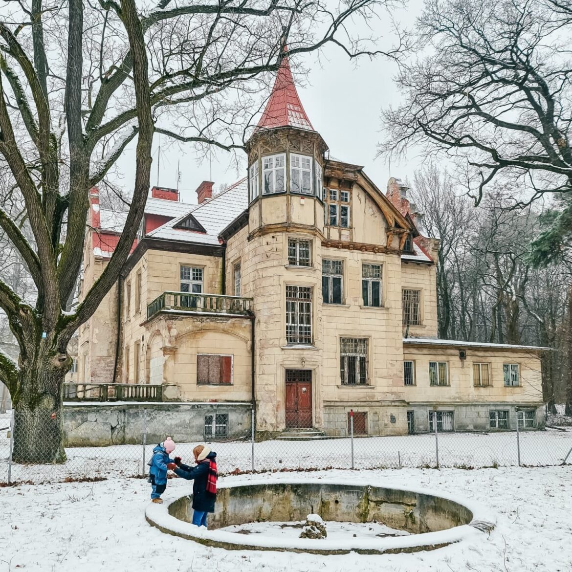 Turczynek