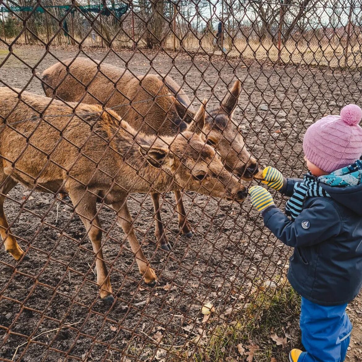 Białołęka Dworska