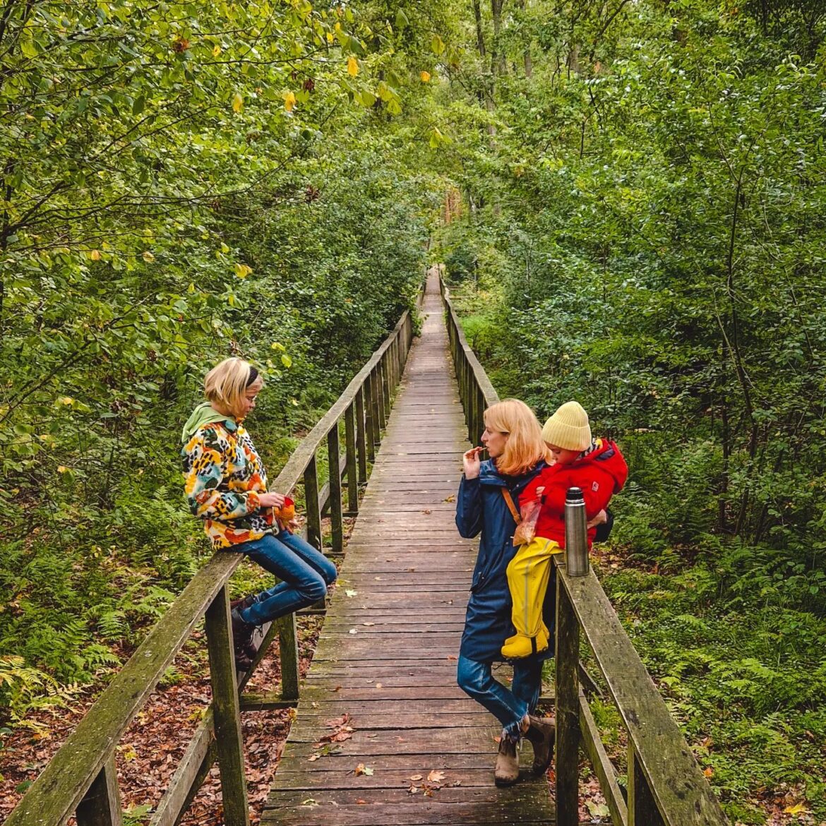 ścieżka przyrodnicza Bobrówka
