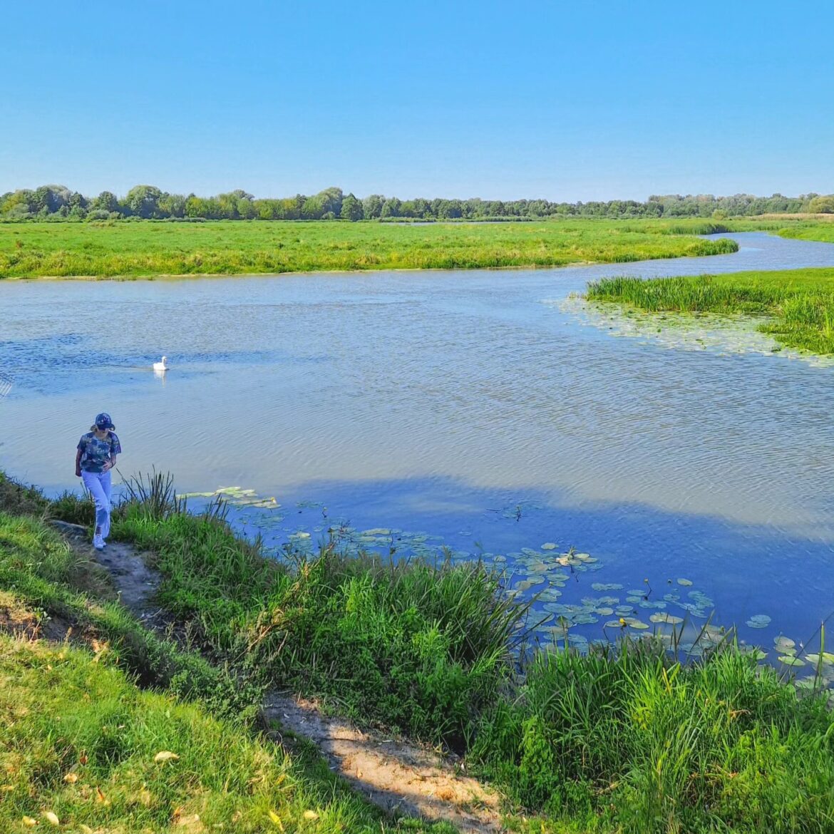 rozlewiska Bugu w Kuligowie