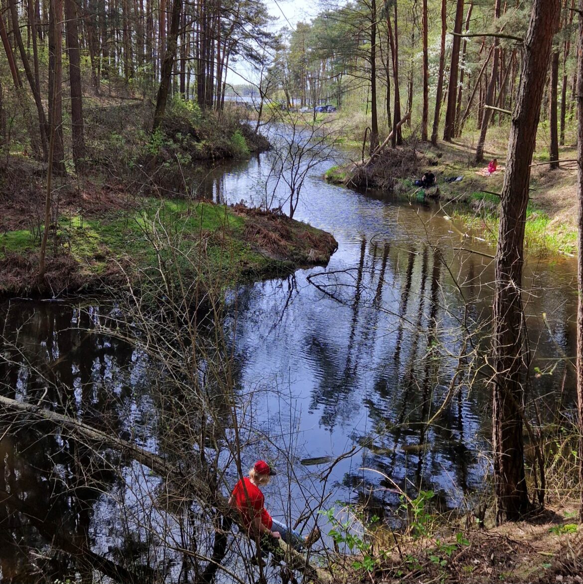 Fiord nad Zalewem Zegrzyńskim